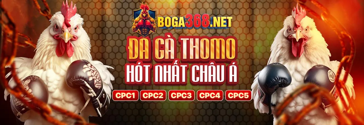 Khuyến mãi đặc biệt cho các sự kiện thể thao lớn tại vn88 tnta